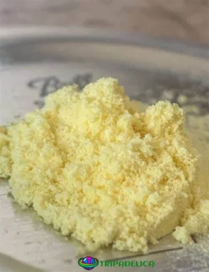 5 MeO DMT