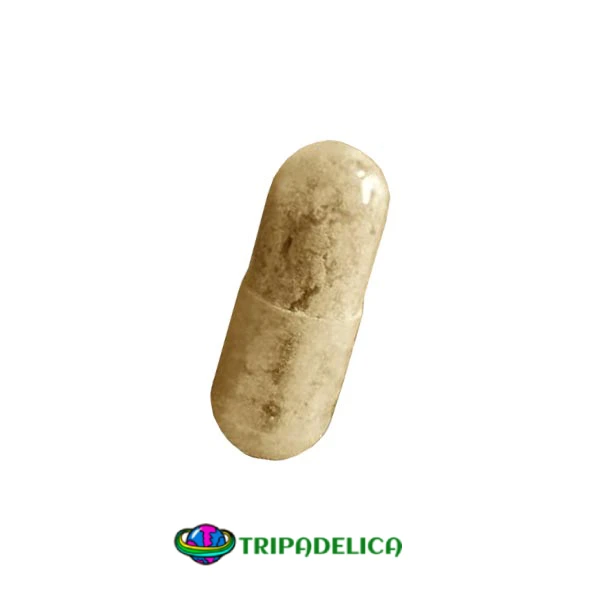 Playboy Champagne – Pillole di MDMA